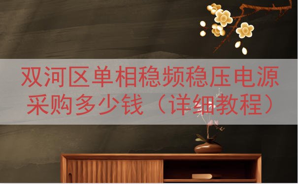 双河区单相稳频稳压电源采购多少钱（详细教程）