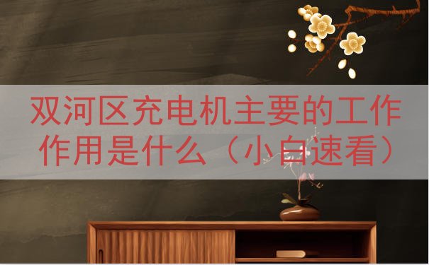 双河区充电机主要的工作作用是什么（小白速看）