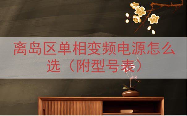 离岛区单相变频电源怎么选（附型号表）